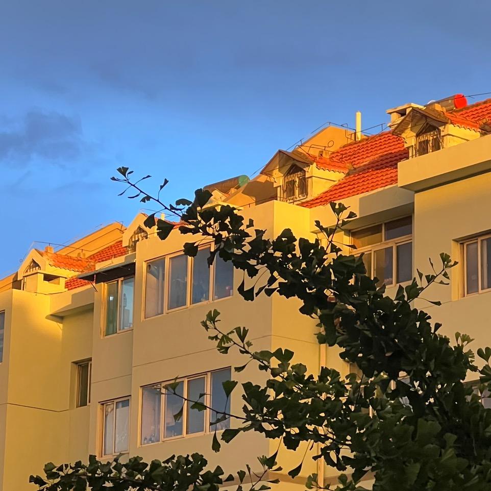 中天水业及时雨☀️