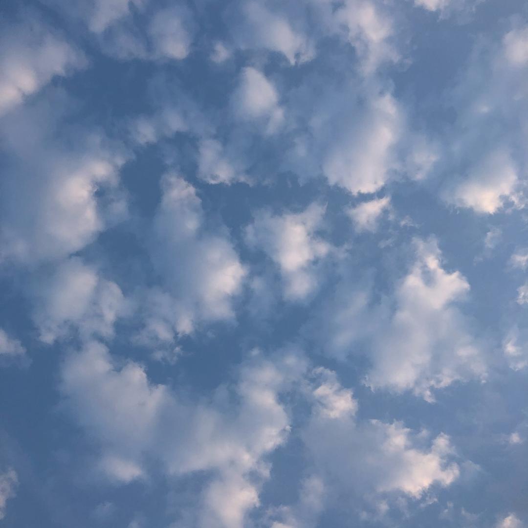 夏天的河水清清