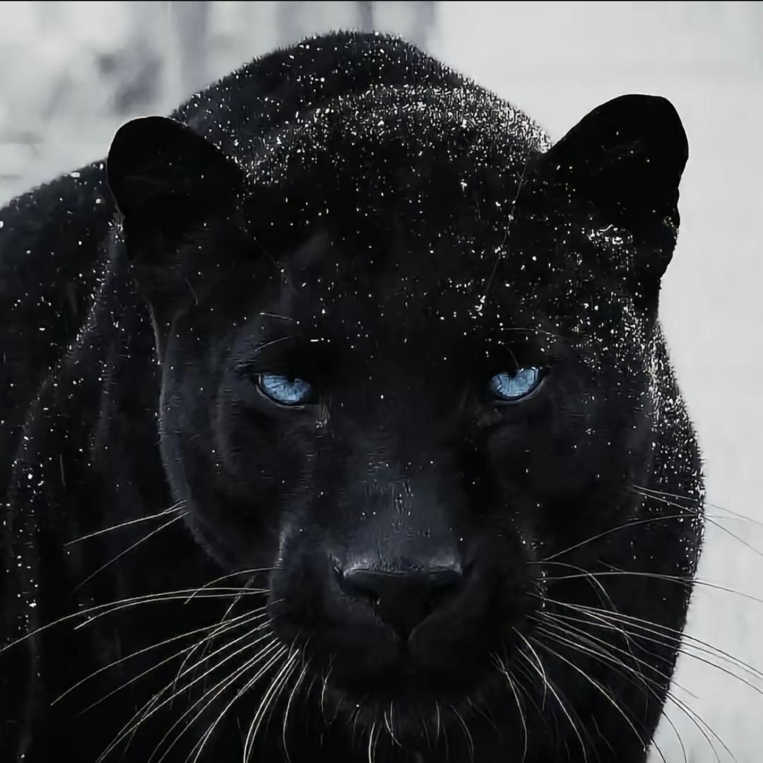 妞子否极泰来🍀