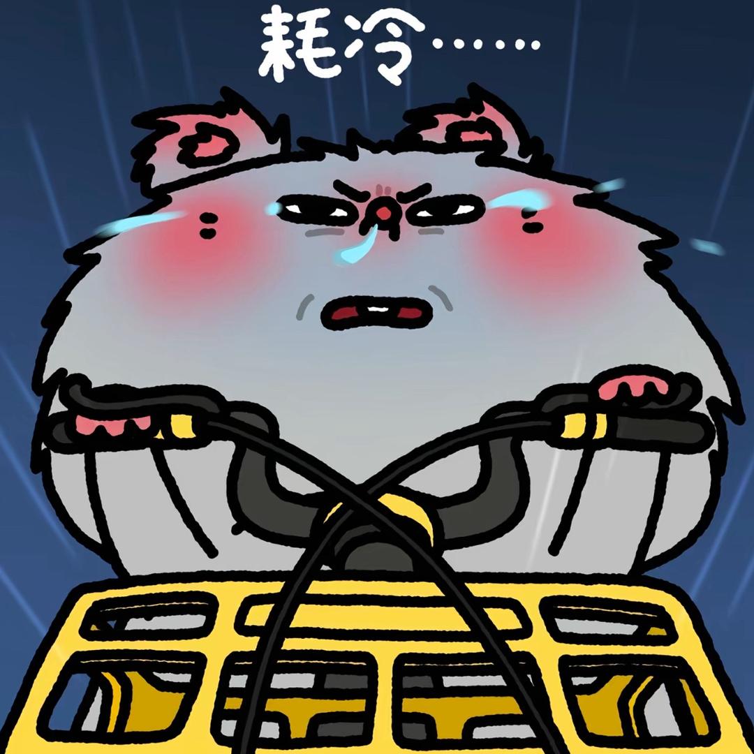 别动我的齐刘海