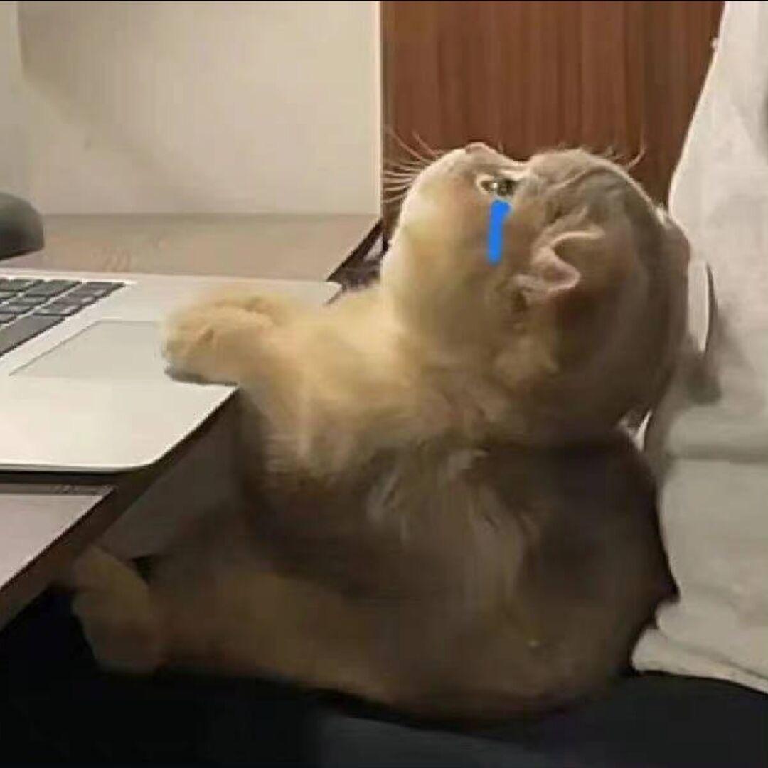 ʕ⸝⸝⸝˙Ⱉ˙ʔ