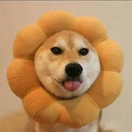 小珍朱 ෆ