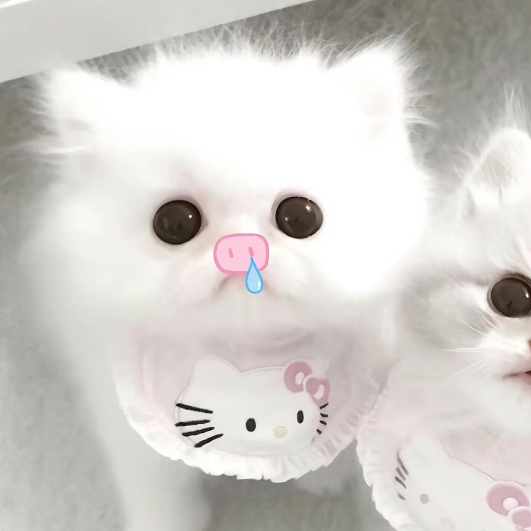 泪像一片雪花