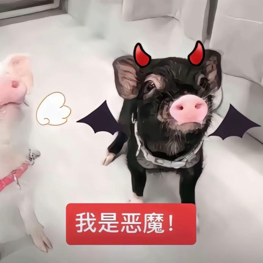 我建议