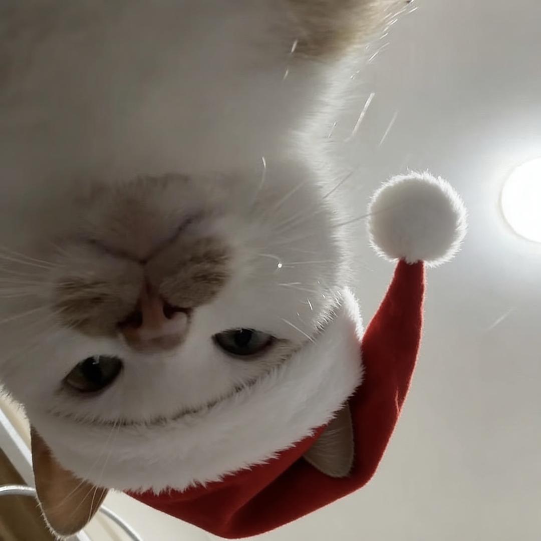 我是一个善良的小女孩