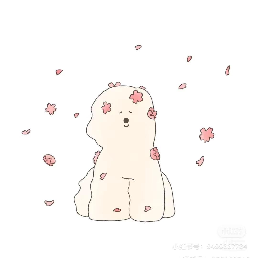 爱吃鱼丸粗面