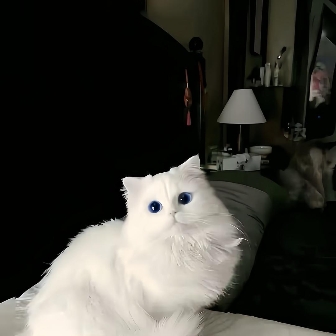 ..*