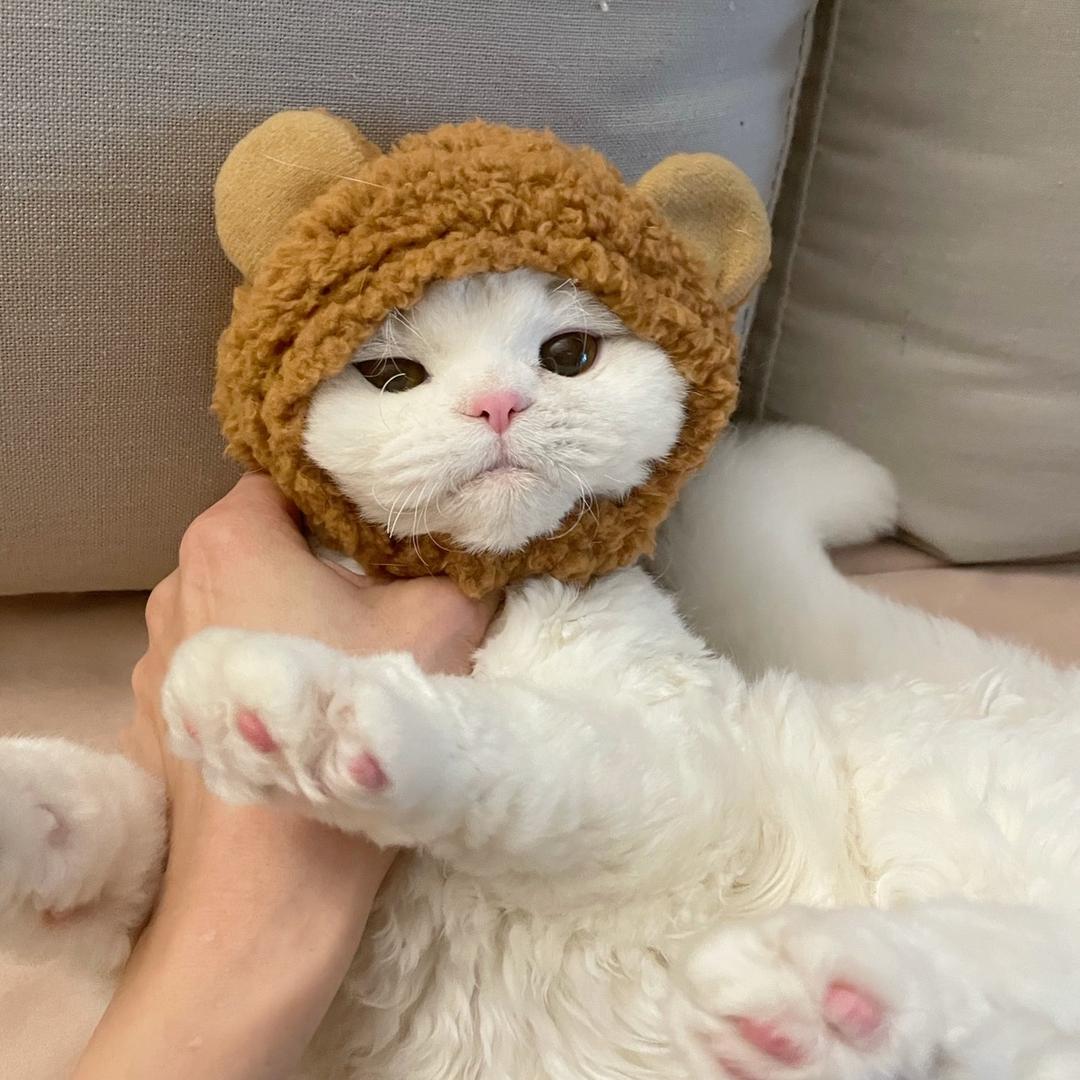 YINYIN小短腿儿