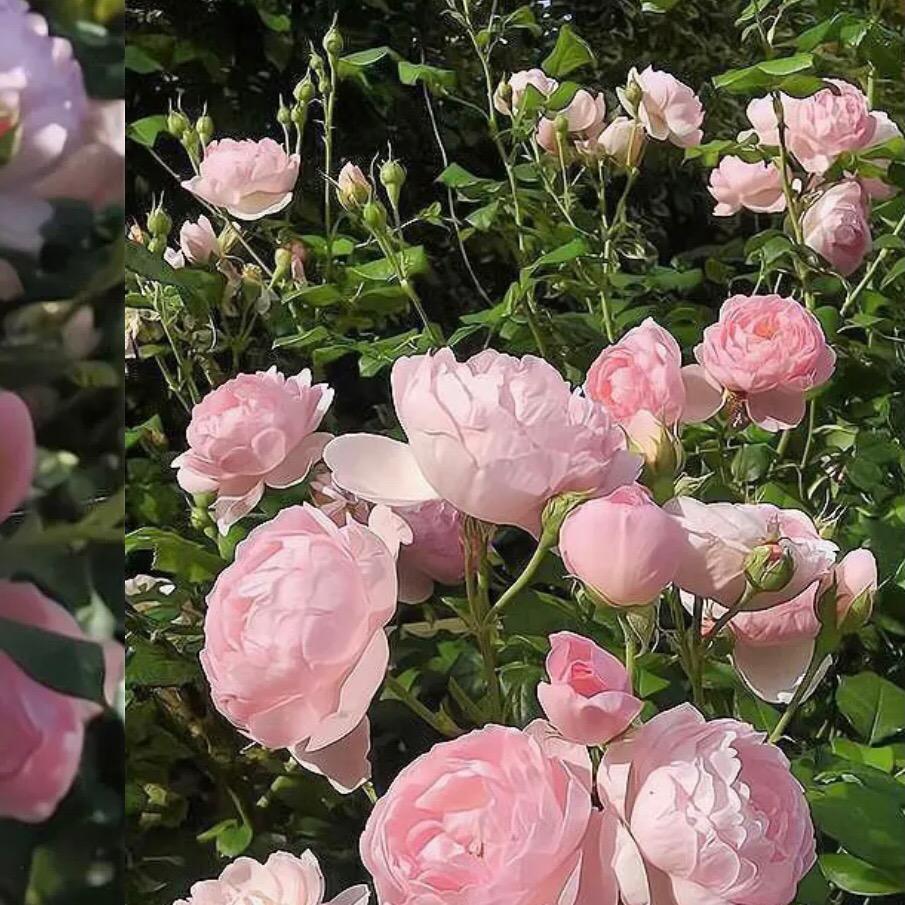 物理老师张小莉的小店