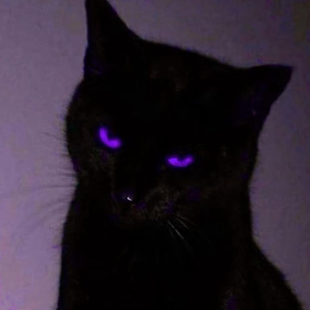 麦克斯韦妖Viola