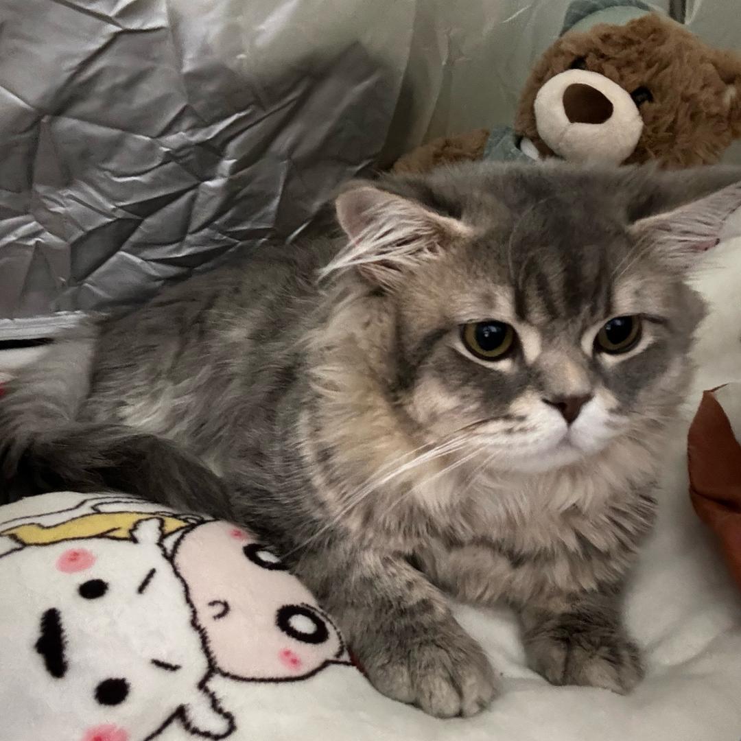 南西是快乐西呀