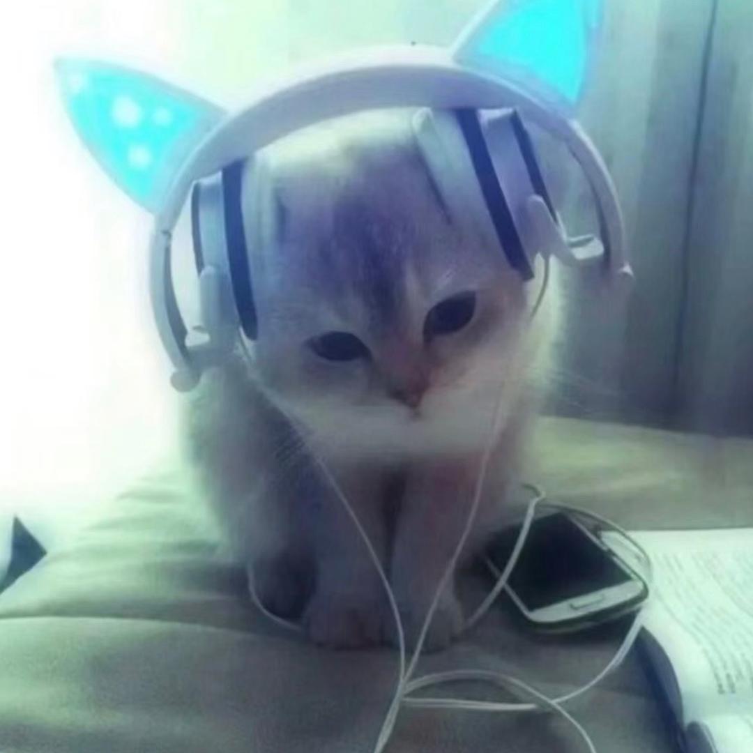 不想吃饭（暴瘦20斤