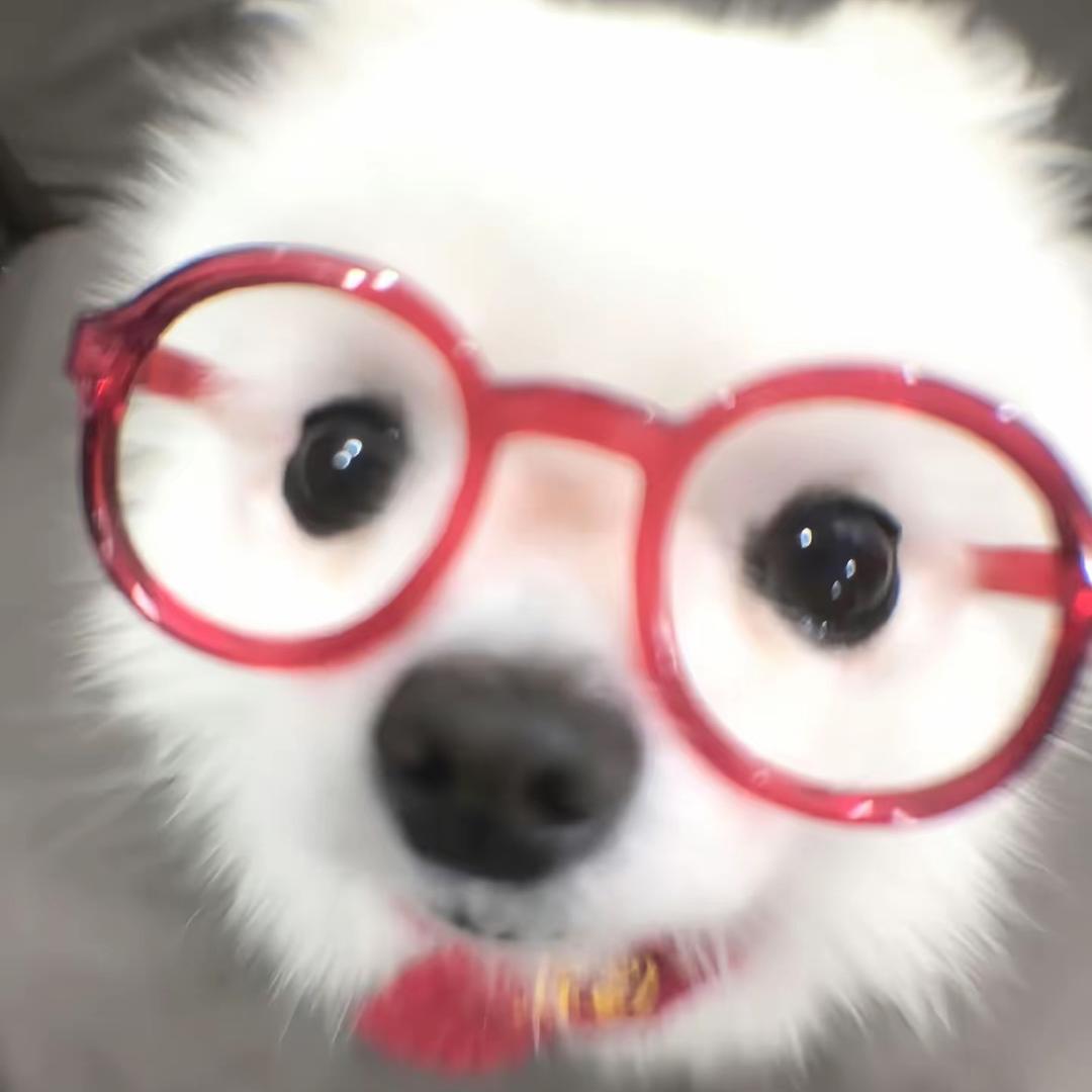 小婷吃木耳！
