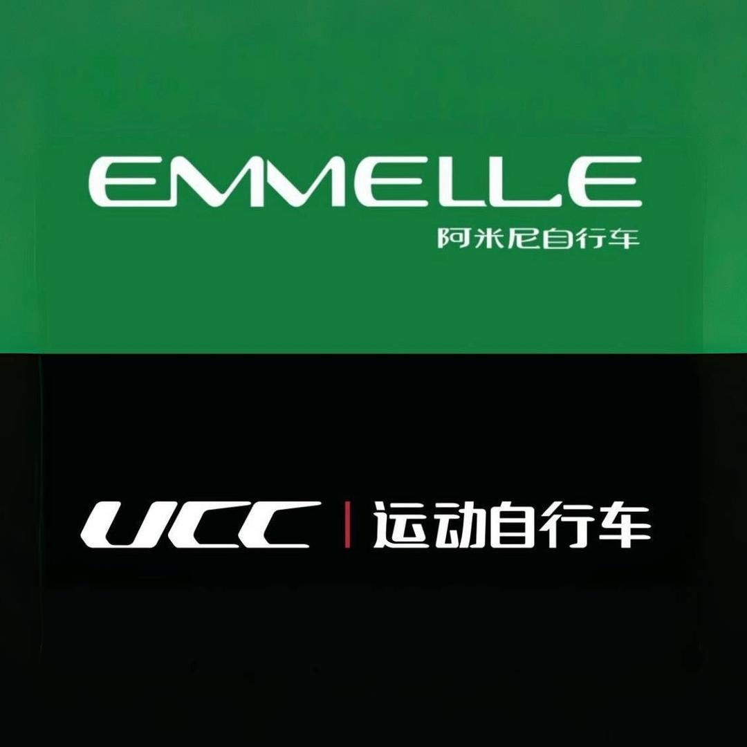 阿米尼/UCC自行车（山东江苏总代理）