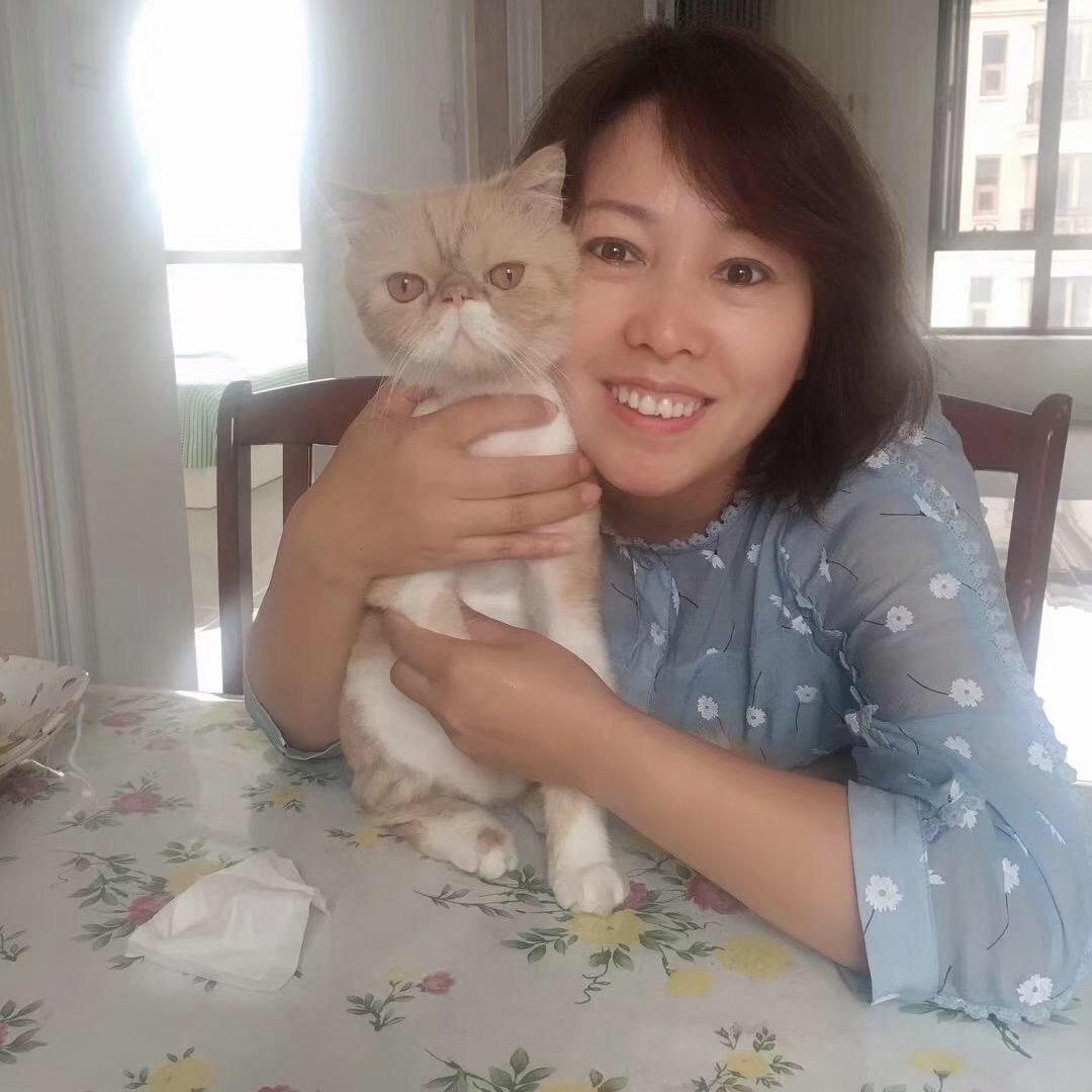 快乐的九六六零