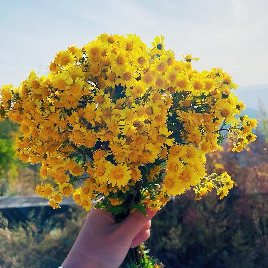 👑          Ms. Tian