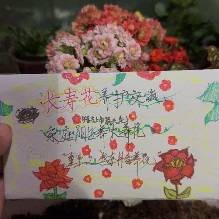 邯郸开发区阿雪篷布帐篷