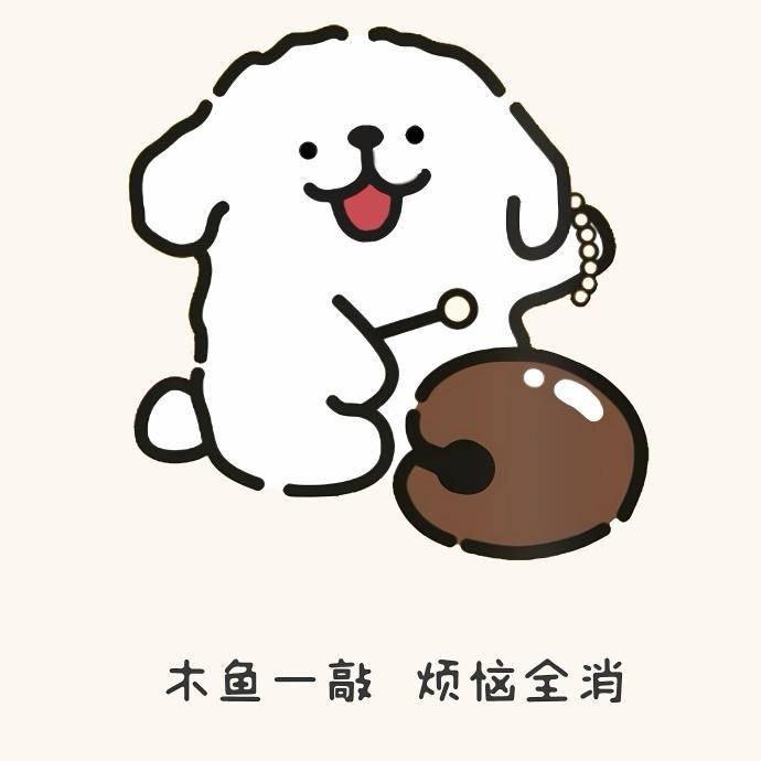 小嘿家宠物