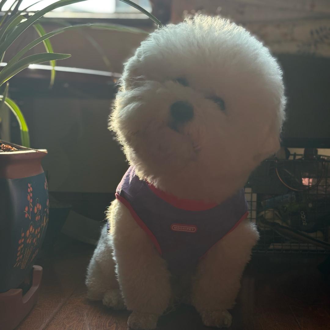 闪电麻麻的杂货铺