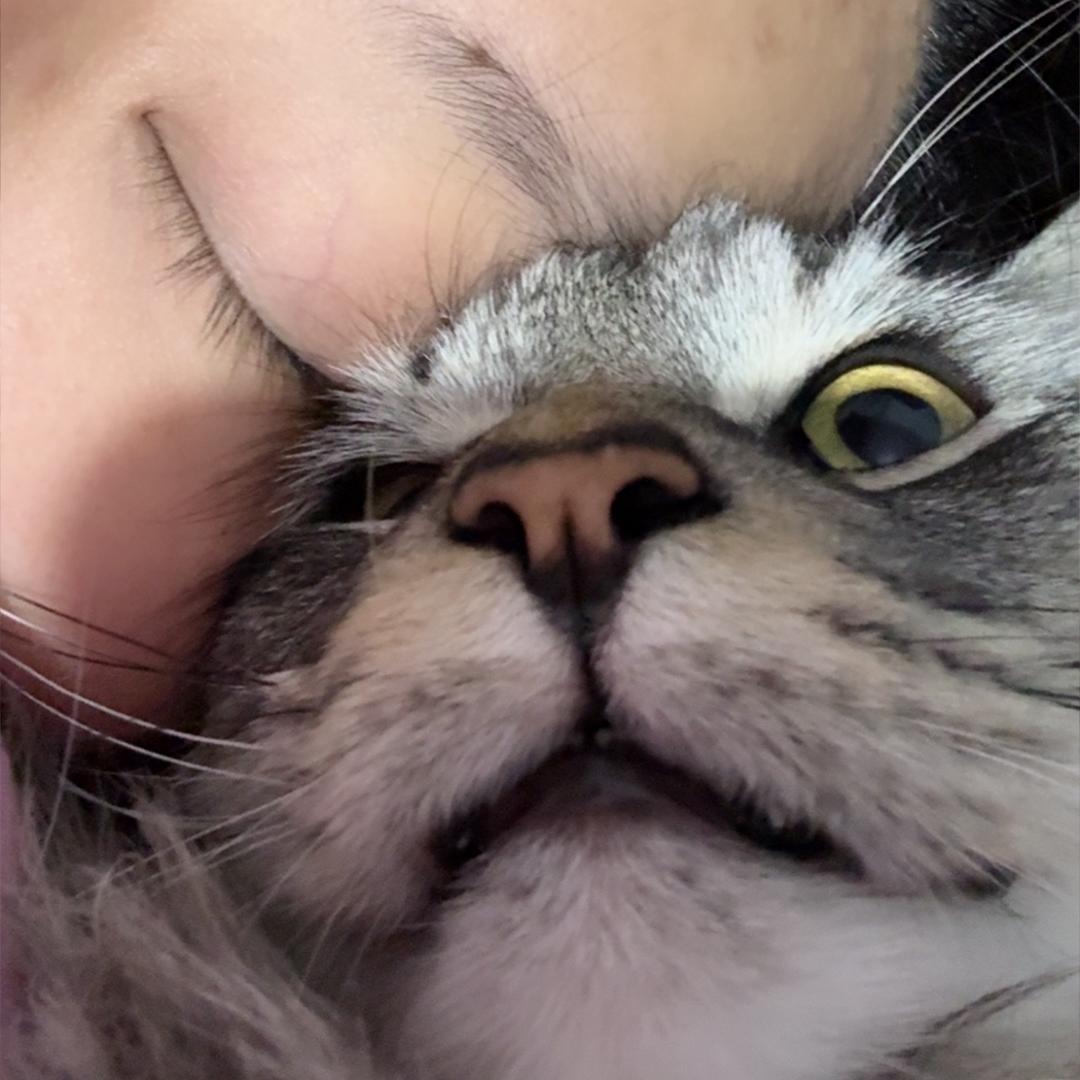 十日