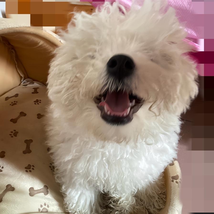 念念
