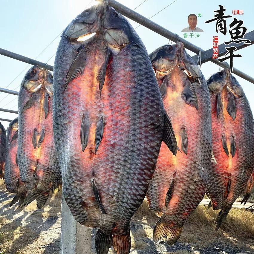 杭州三白潭鲁子法青鱼干