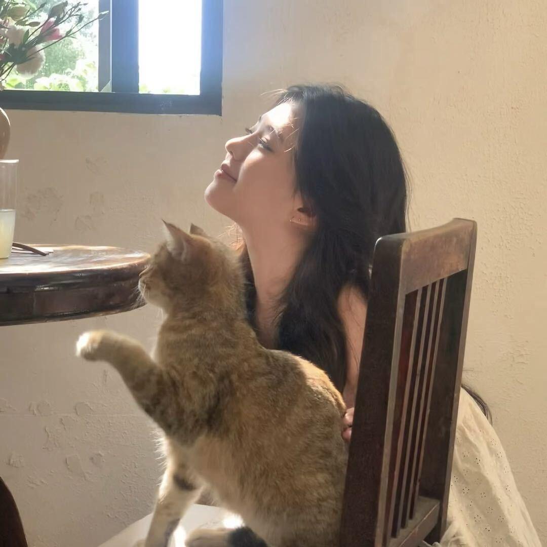 我家猫会打跆拳道