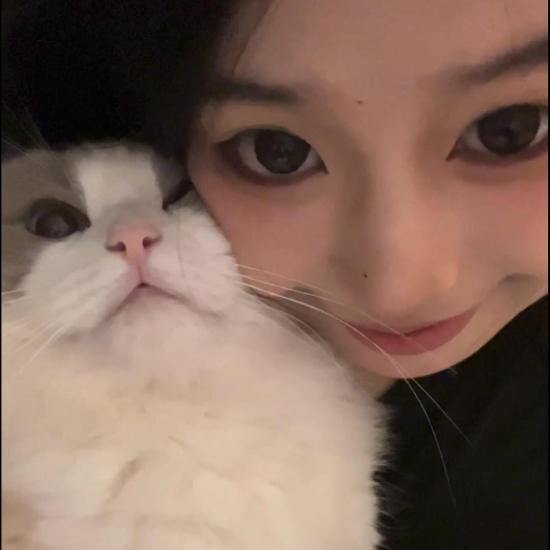 灰灰捏