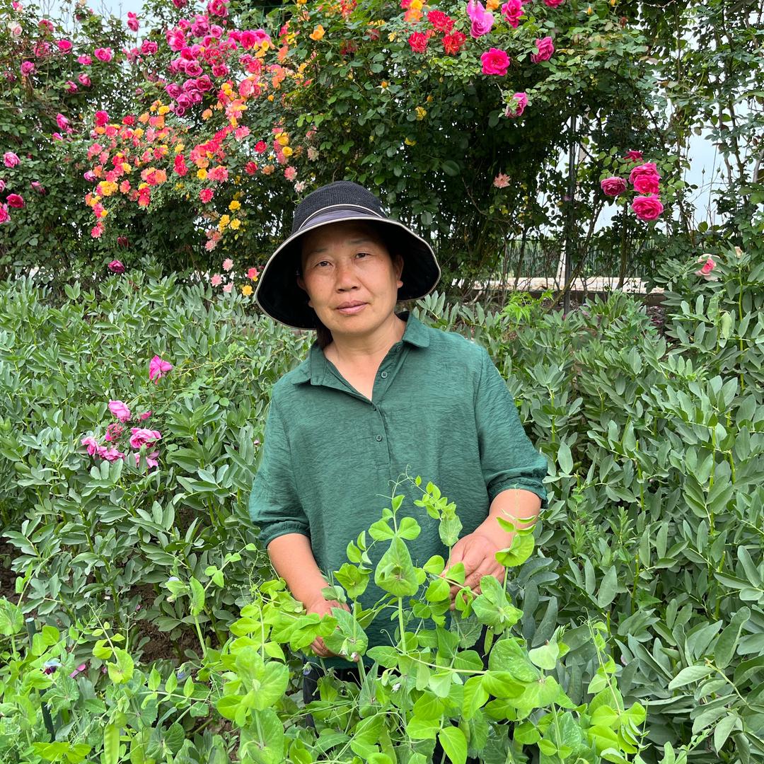 张老师教种植