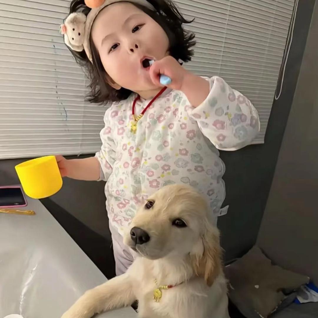 泡泡邮递员L🐾