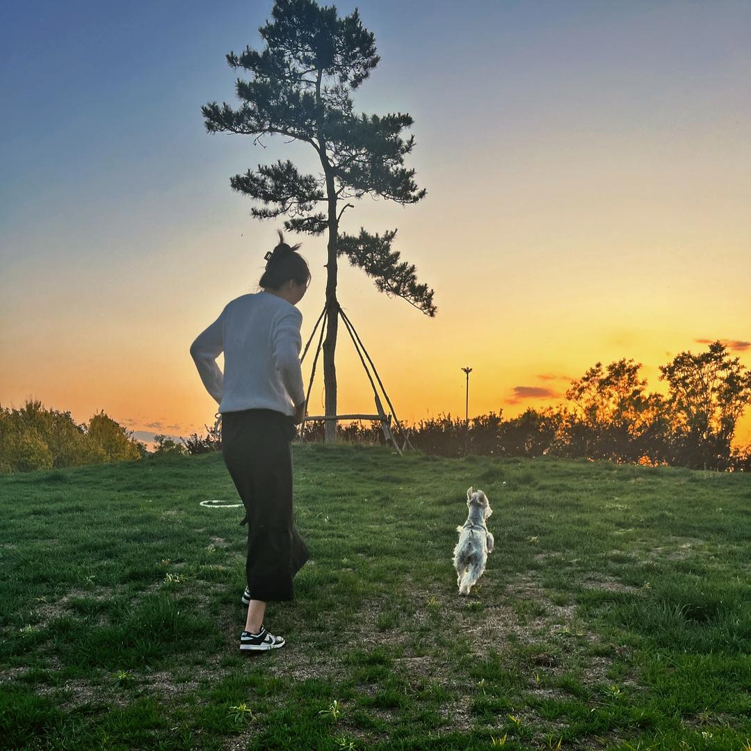 十一是只雪纳瑞