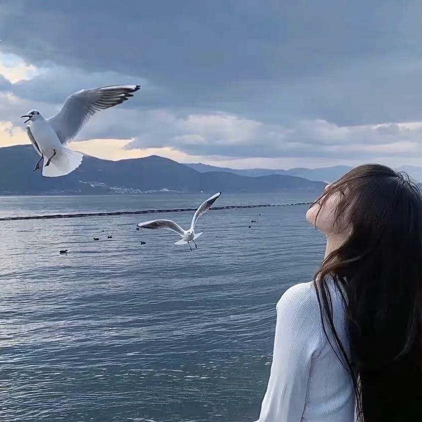 芒果很忙🎗️