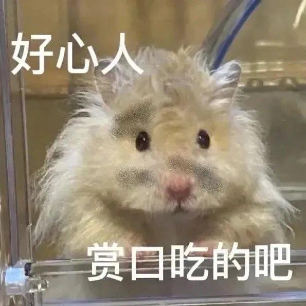 就想吃DQ