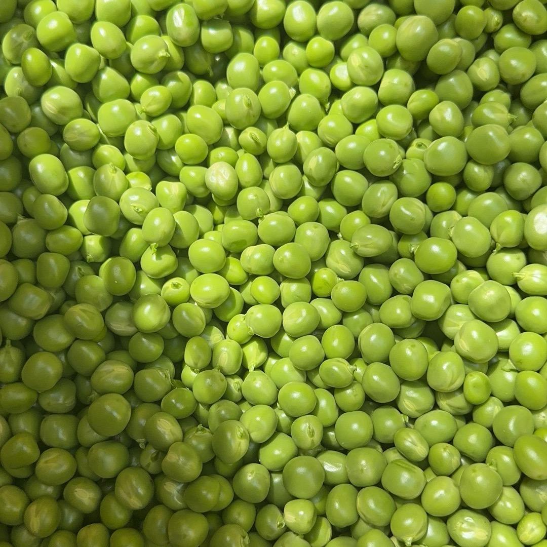 精品手工豆米小何