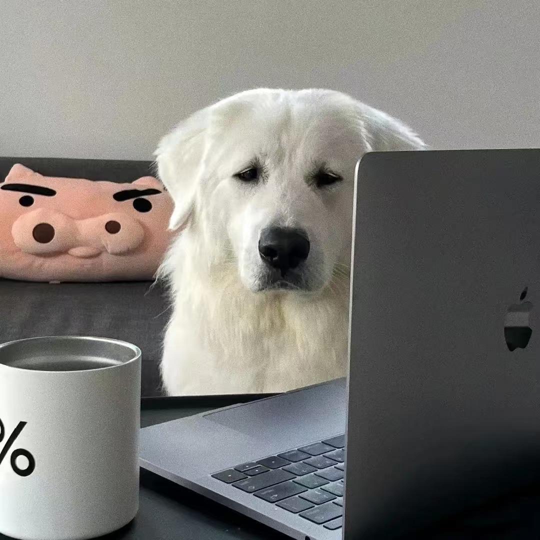 行至朝雾