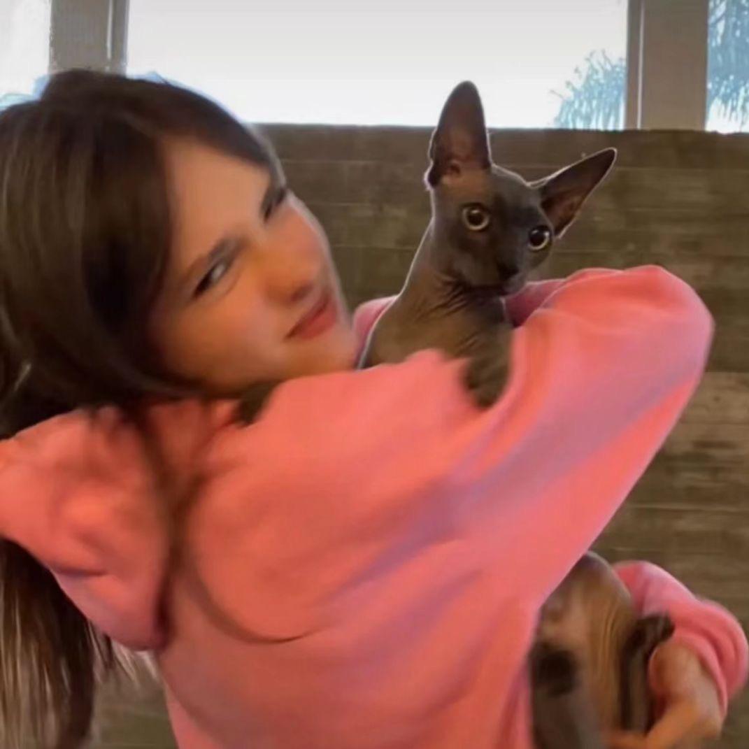 猫凡