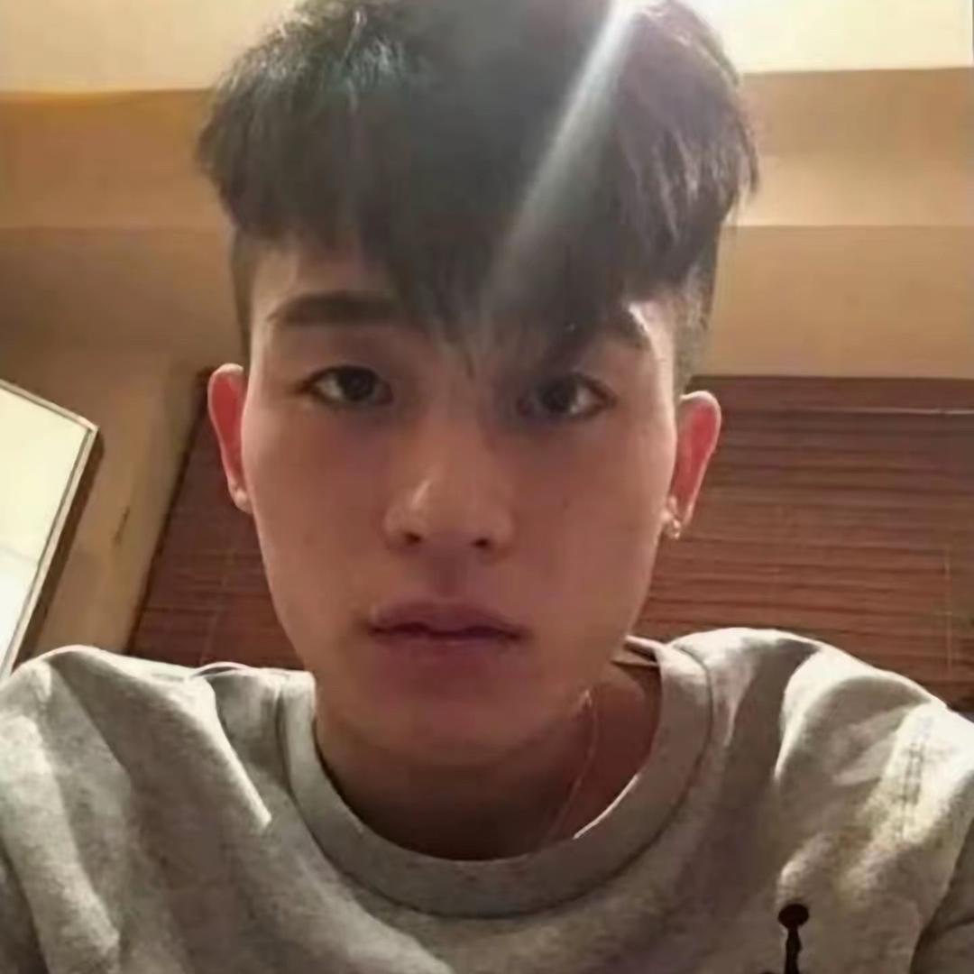 五只蚊子