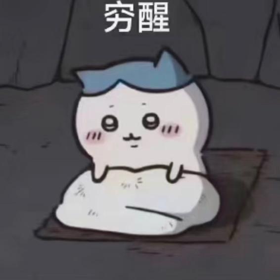 野生小熊猫