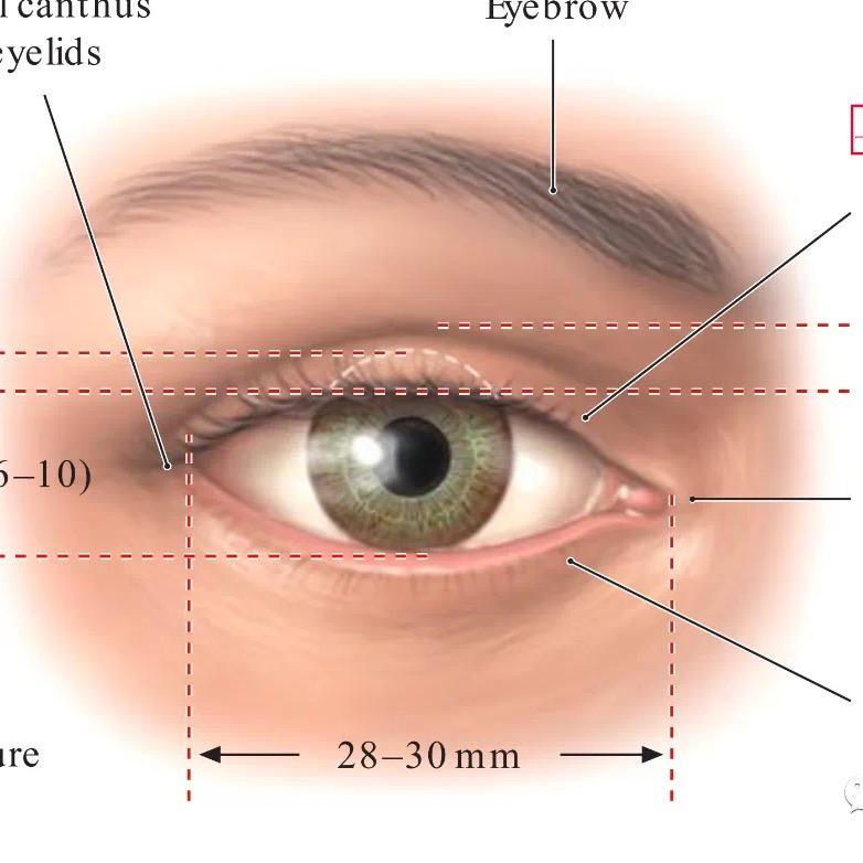 山阳视力大护法