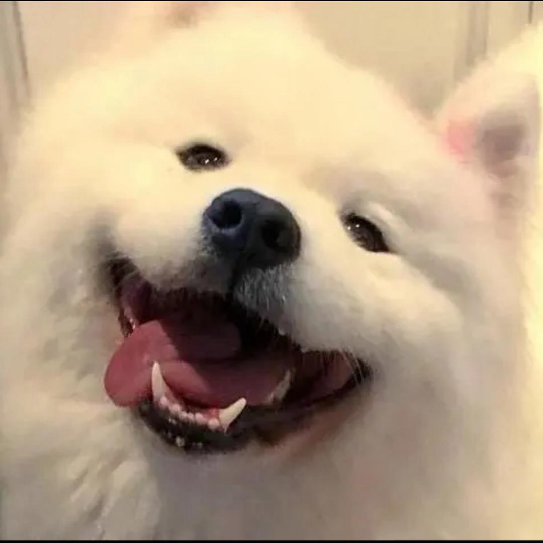 挽风～