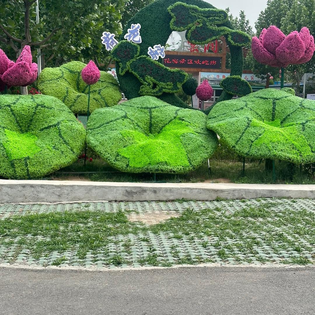 静心❤