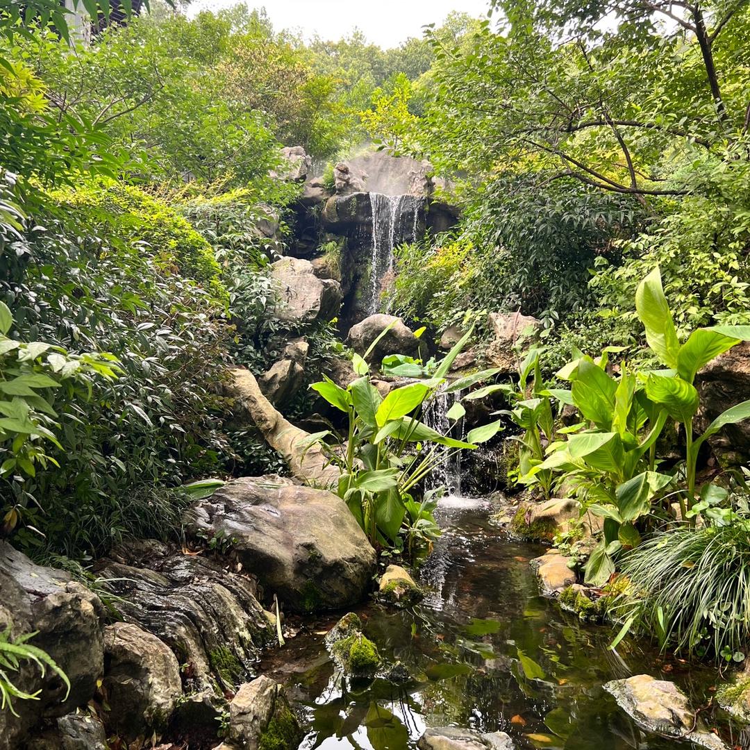 晶晶正能量