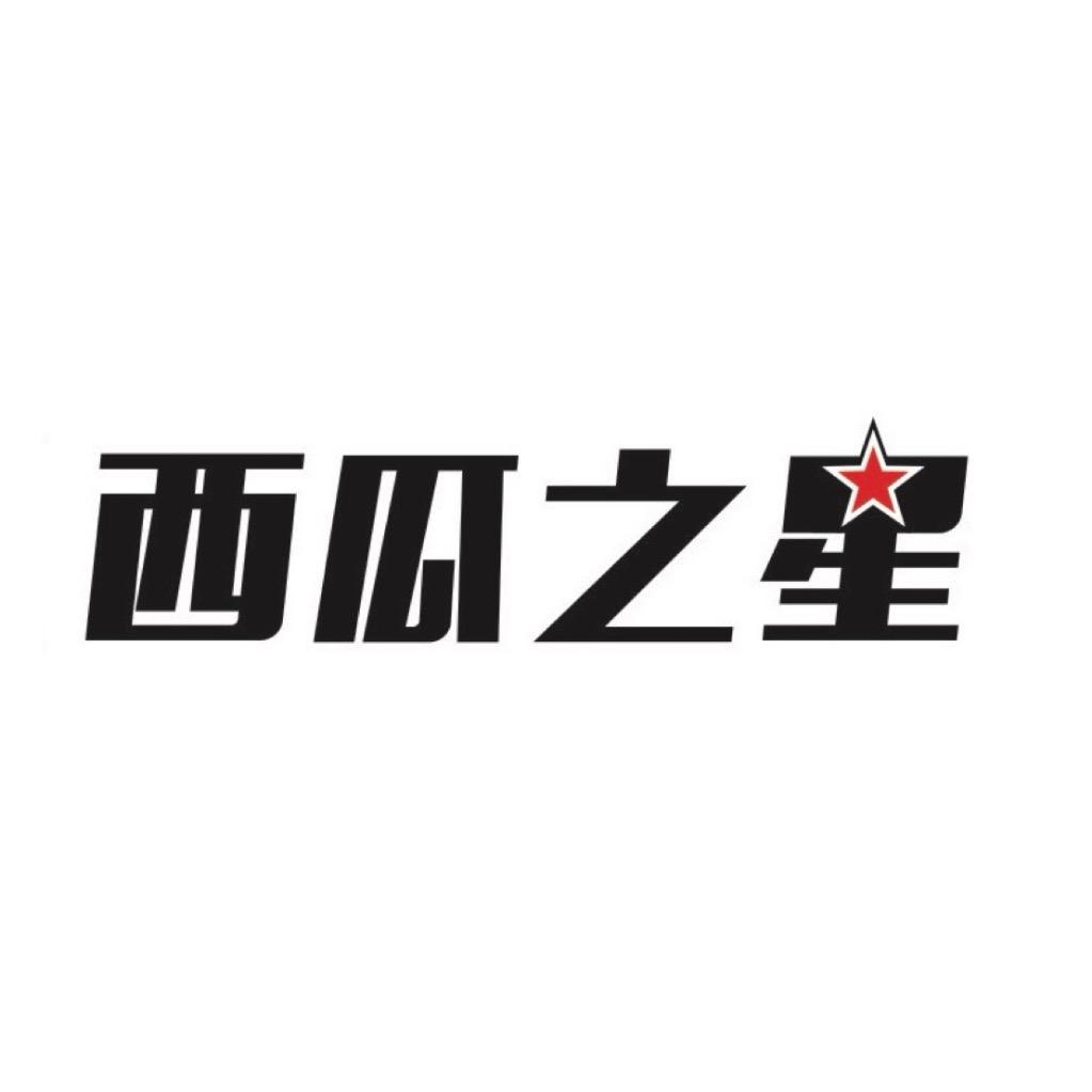 西瓜之星二手车