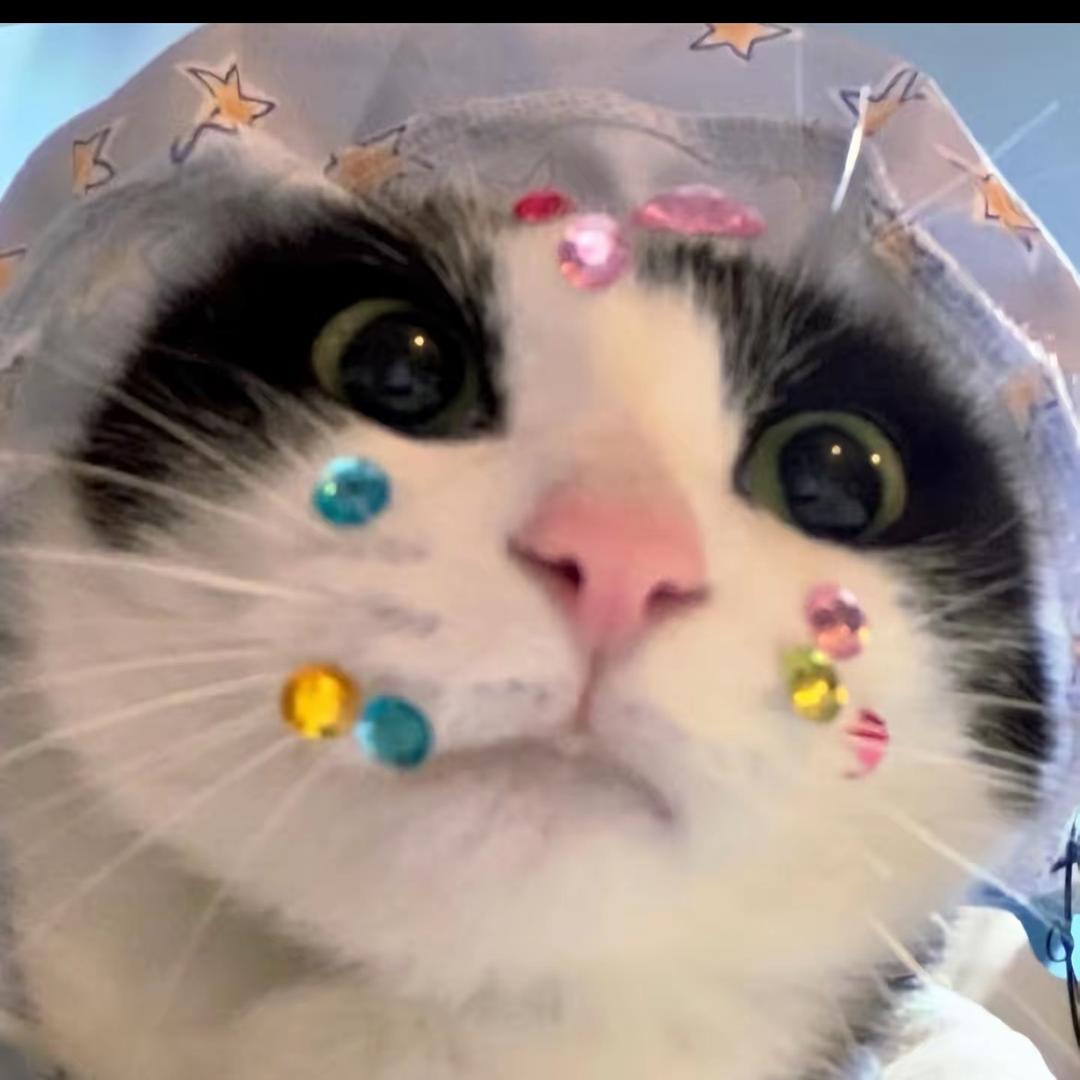 布川酷子（减肥版）