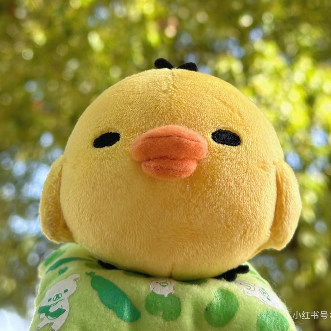 玉米纯纯.