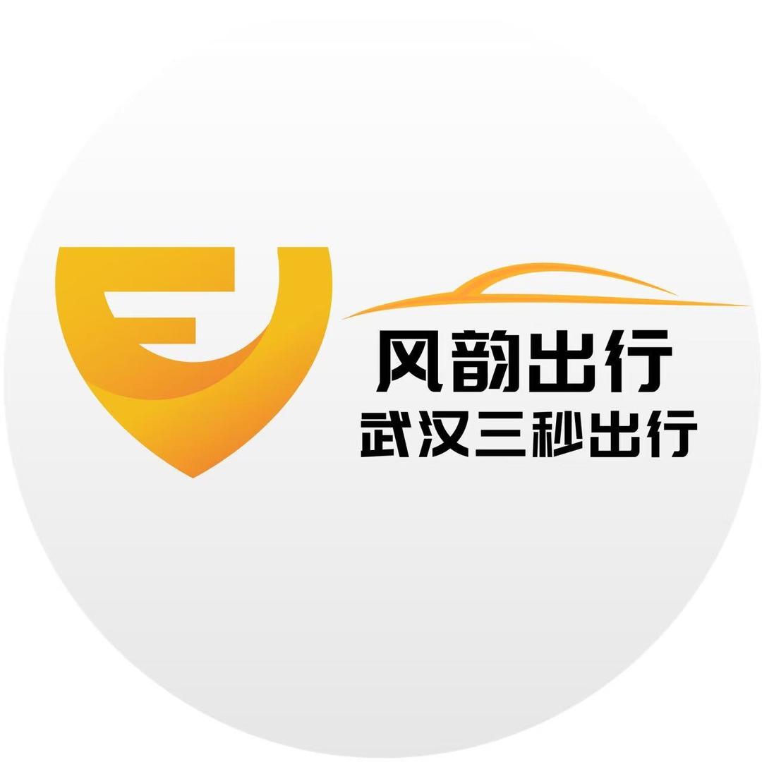 武汉网约车津津