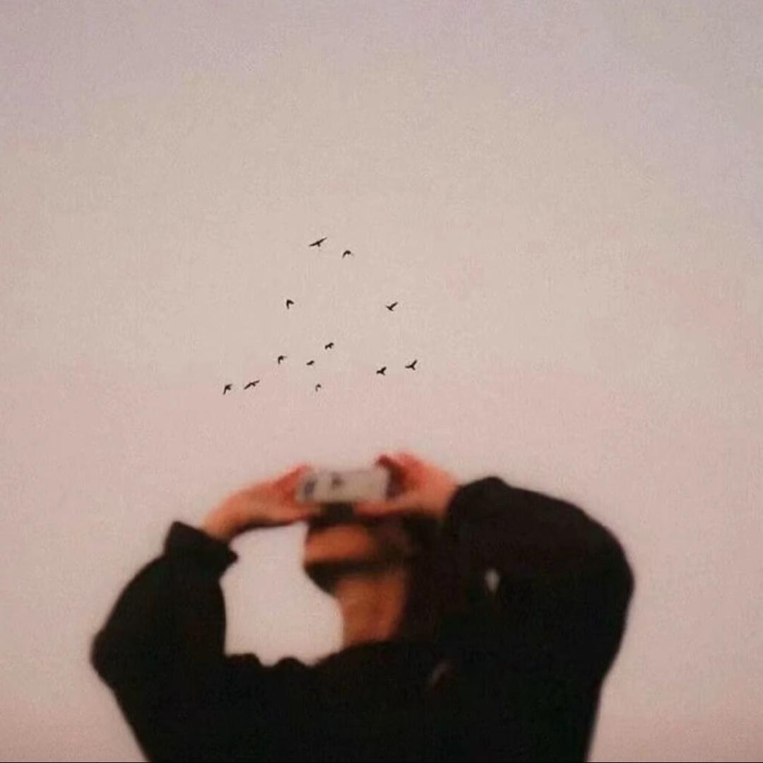 苏木泽