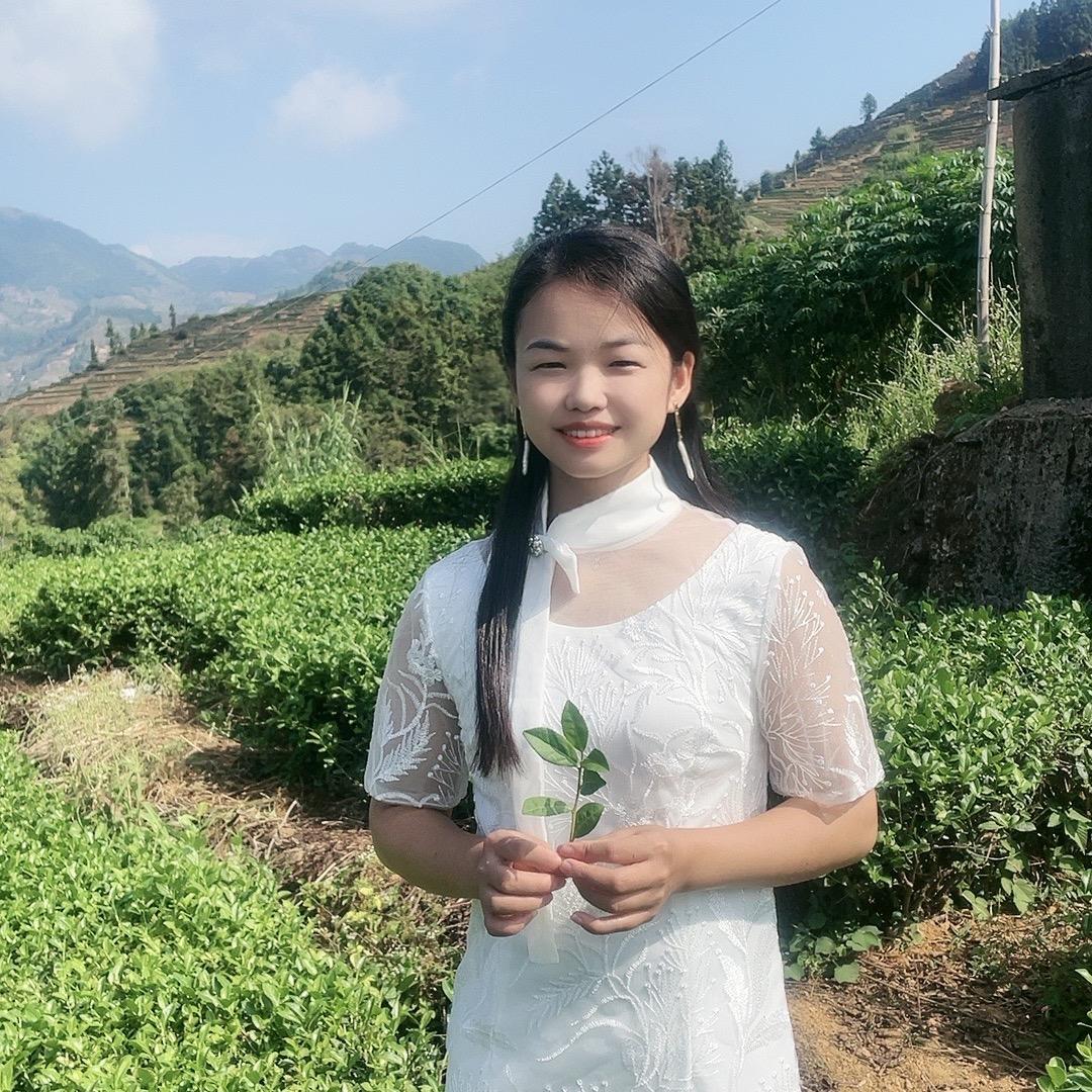 茶汪汪