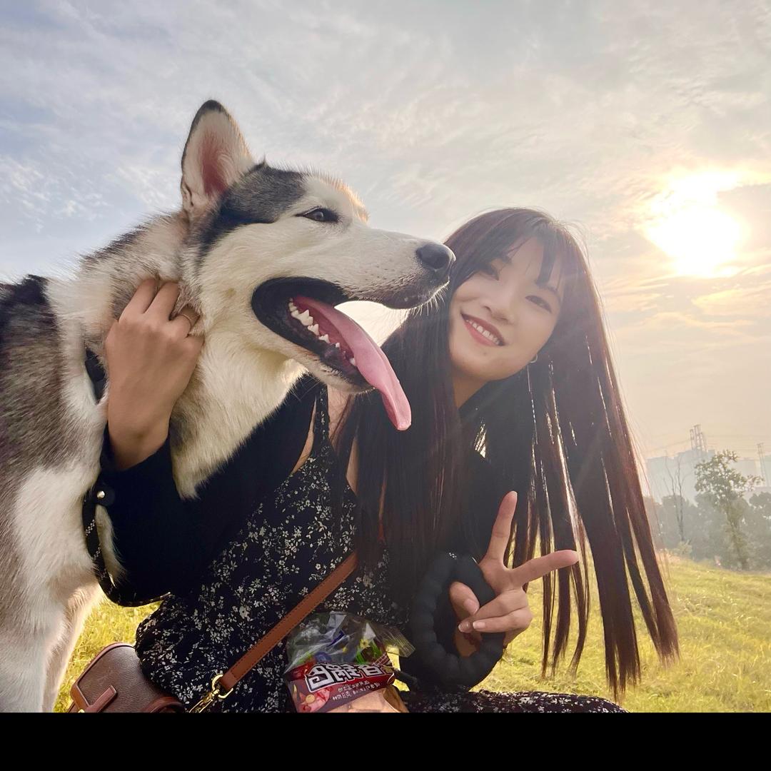 阿呆呆的御用画师