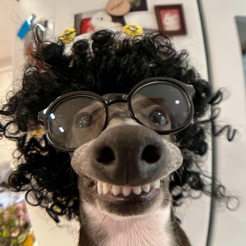 lllllllll